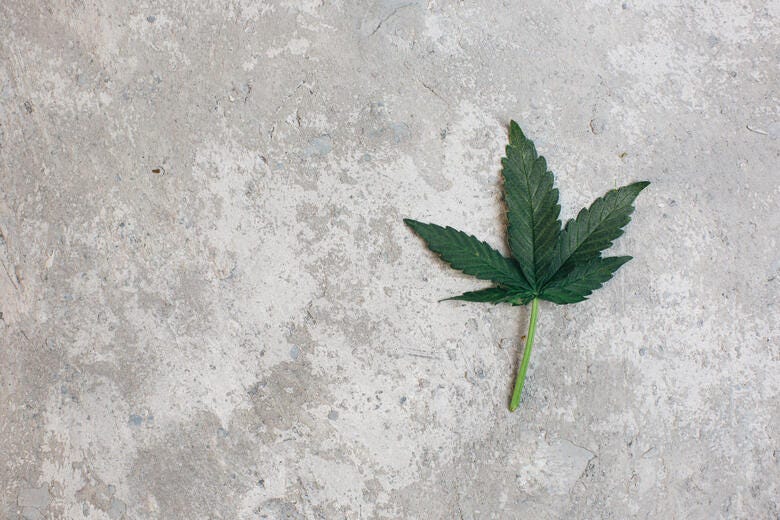 a green leaf on a white surface