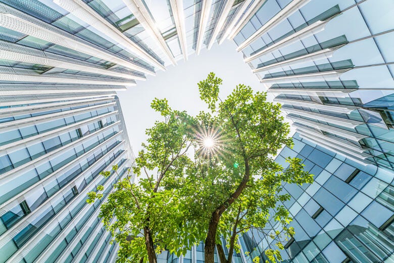 a tree in front of a building