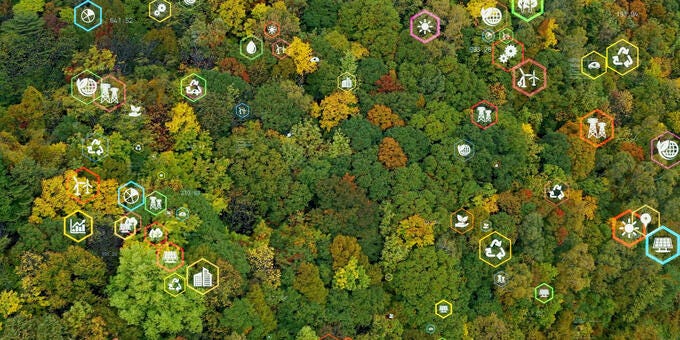 a group of trees with houses