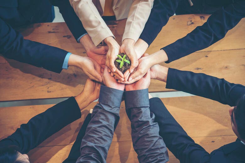 a group of people holding a small green and yellow object